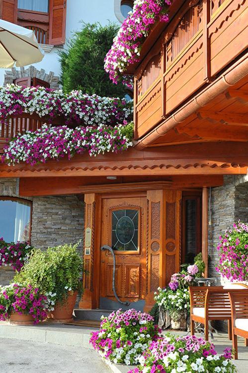 Hotel Le Ortensie Roccaraso Εξωτερικό φωτογραφία